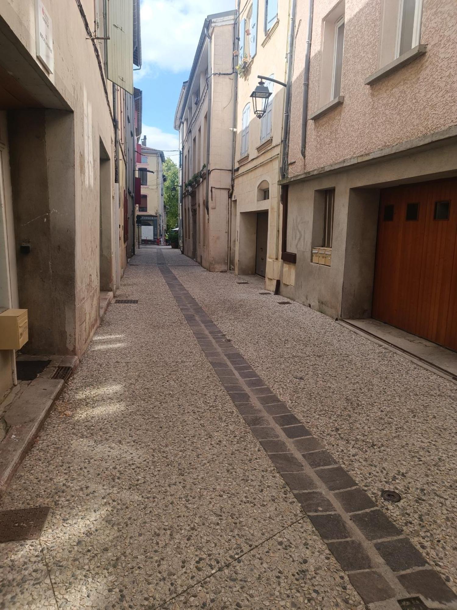 Grand Studio Meuble Chez Coco Romans-sur-Isere Exterior photo
